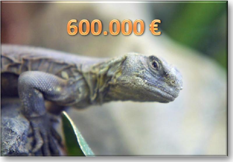 O soparla de... 600.000 de Euro !